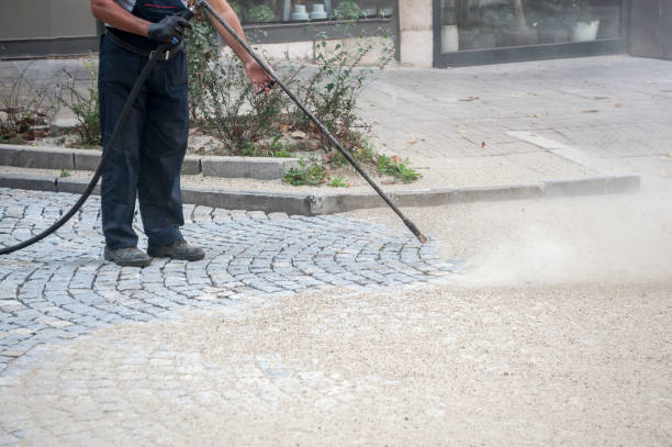 Best Boat and Dock Cleaning  in Three Oaks, FL